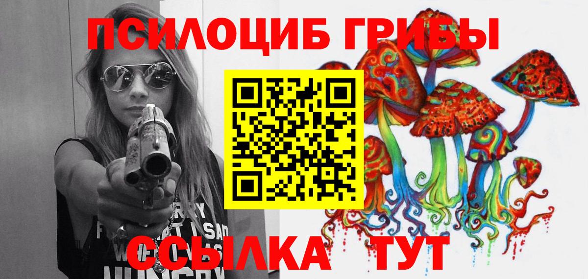 Псилоцибиновые грибы ЛСД  где купить   Чехов  Вход с VPN  Псилоцибиновые грибы мухоморы 