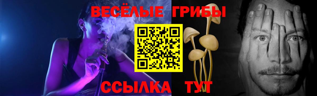 Галлюциногенные грибы Magic Shrooms Чехов